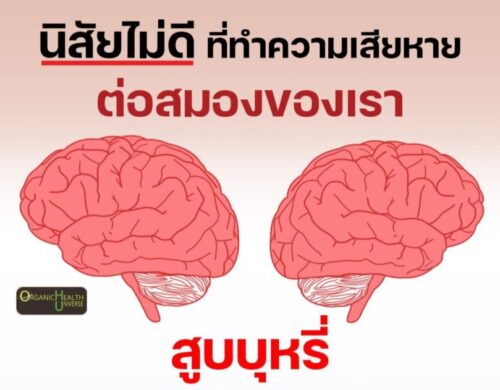 สูบบุหรี่ นิสัยแย่ที่สุด ที่ทำความเสียหายต่อสมองของเรา